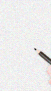 花2.gif